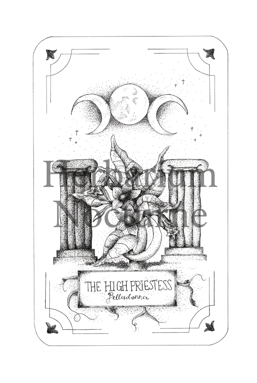 High Priestess artwork with Herbarium Nocturne text watermark
